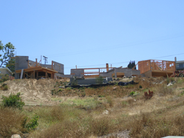 June House 15